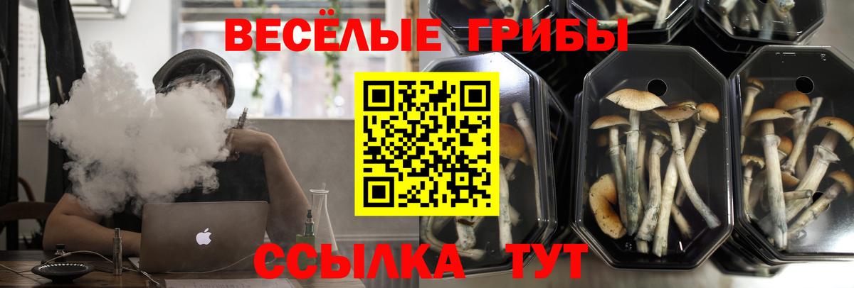 Галлюциногенные грибы Psilocybine cubensis  Вход с VPN  где продают   Красноярск 