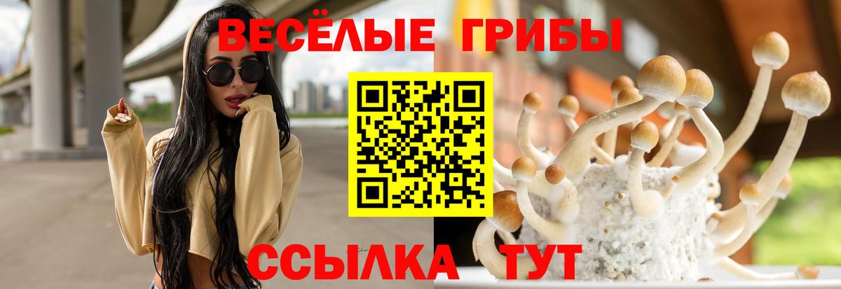 Псилоцибиновые грибы мухоморы Красноярск